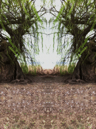 Symmetric pattern drifting.gif