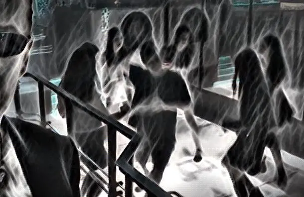 别指望植物兴奋剂会模仿它们的化学表亲